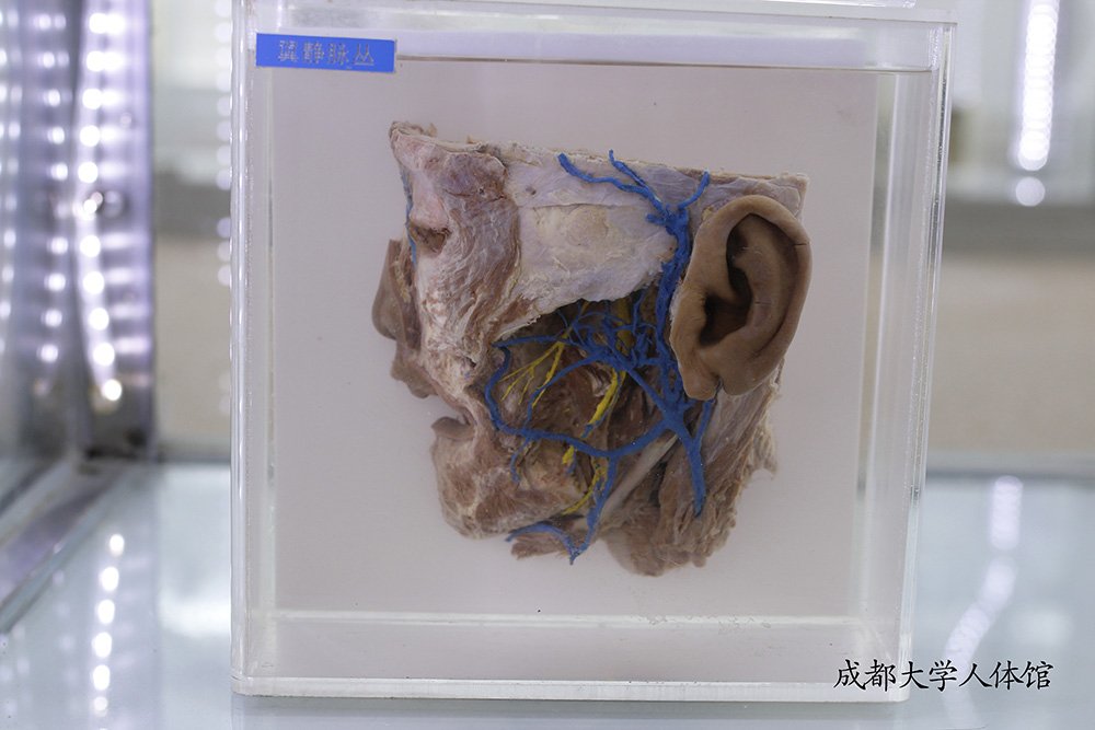 开运体育app官网安全访问
