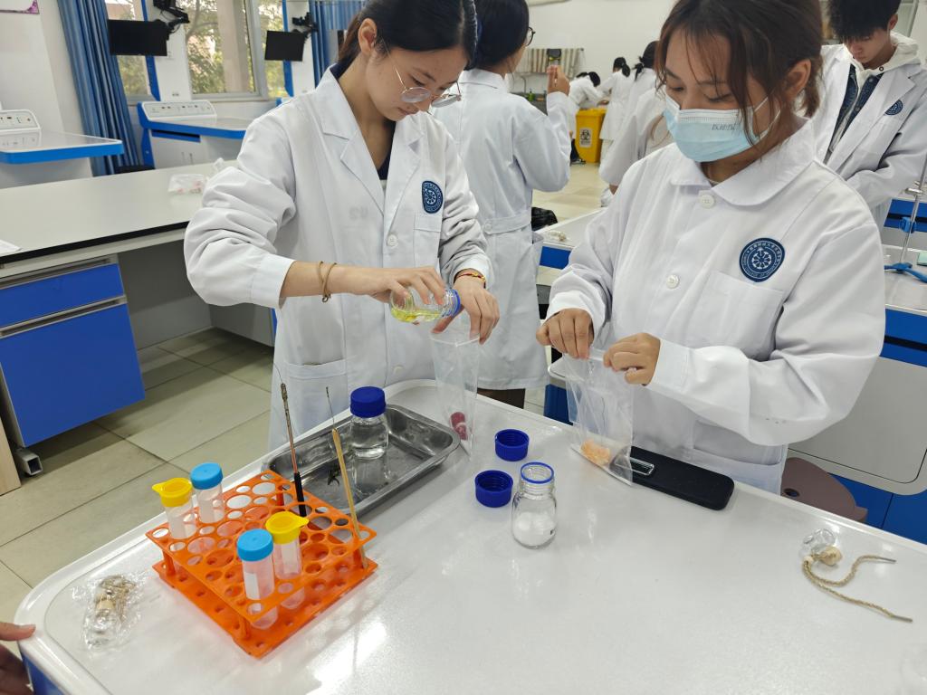 支气管树