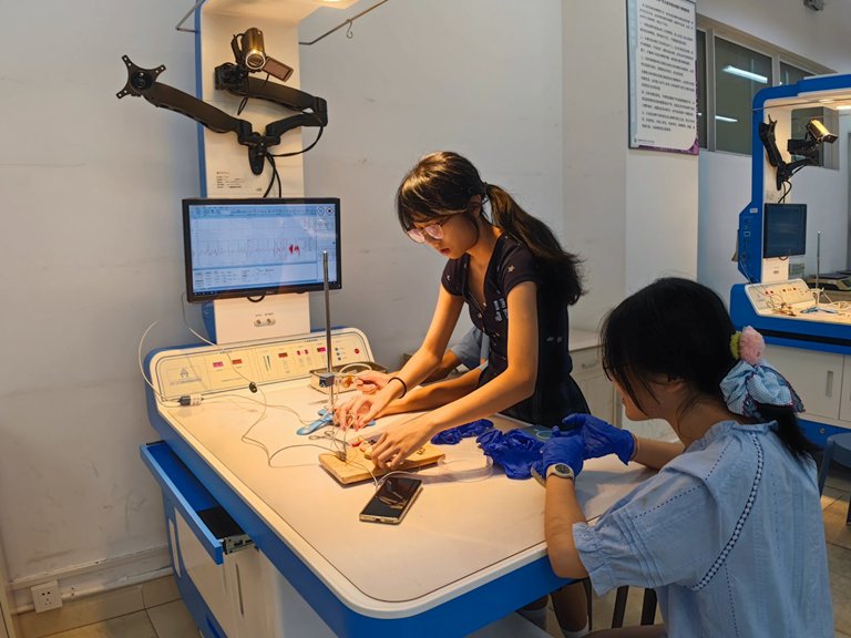 2026蓉城科学嘉年华8月活动 展出