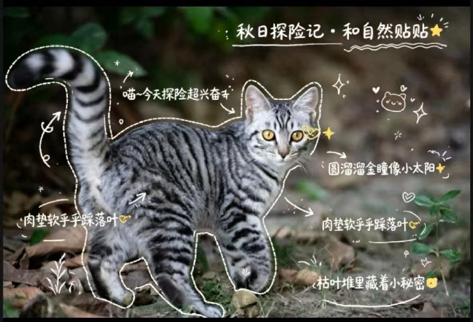 版权所有©开运体育app官网出任欧冠